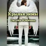 Постер книги Крылья зимы