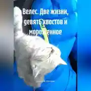 Постер книги Велес. Две жизни, девять хвостов и мороженное