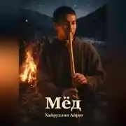 Постер книги Мёд