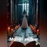 Постер книги Молот ведьм
