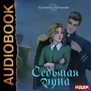 Постер книги Седьмая руна