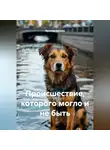 Ярослав Кичало - Происшествие, которого могло и не быть