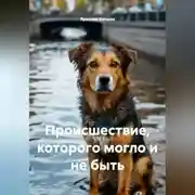 Постер книги Происшествие, которого могло и не быть