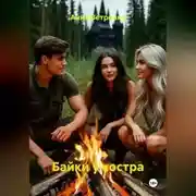 Постер книги Байки у костра