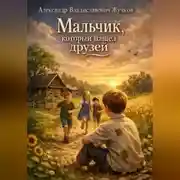 Постер книги Мальчик, который нашёл друзей.