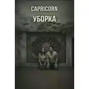 Постер книги Уборка