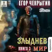Постер книги Злыднев мир. Книга 3