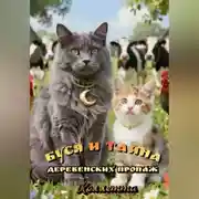 Постер книги Буся и тайна деревенских пропаж