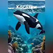 Постер книги Косатки