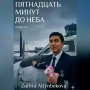 Постер книги Пятнадцать минут до неба