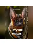 Анастасия Дегтярева - Летучие мыши