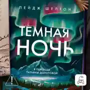 Постер книги Темная ночь