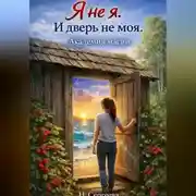 Постер книги Я не я. И дверь не моя. Академия магии.