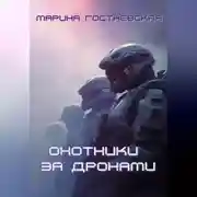 Постер книги Охотники за дронами