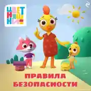 Постер книги Цветняшки. Правила безопасности