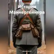 Постер книги История Маннергейнера