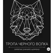 Постер книги Тропа черного волка: Заметки ученика шамана