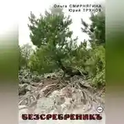 Постер книги БеЗсеребреникЪ
