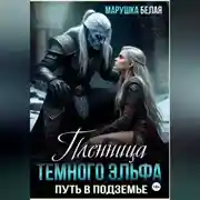 Постер книги Пленница темного эльфа. Путь в Подземье