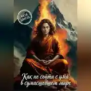 Постер книги Как не сойти с ума в сумасшедшем мире