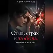 Постер книги Стыд, страх и любовь, которая ломает