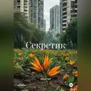 Постер книги Секретик