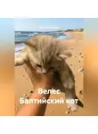 Анатолий Шигапов - Велес Балтийский кот