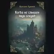 Постер книги Когда не слышен звук секунд