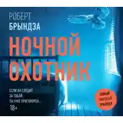 Постер книги Ночной Охотник