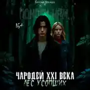 Постер книги Чародей XXI века: Лес усопших