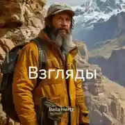 Постер книги Взгляды