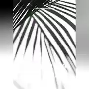 Постер книги Будущее уже наступило