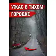 Постер книги Упала с моста