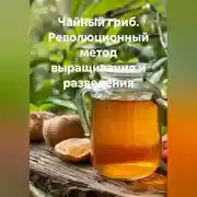 Постер книги Чайный Гриб. Революционный метод выращивания и разведения