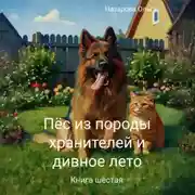 Постер книги Пёс из породы хранителей и дивное лето