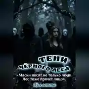 Постер книги Тени Чёрного леса