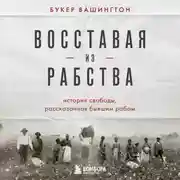 Постер книги Восставая из рабства. История свободы, рассказанная бывшим рабом