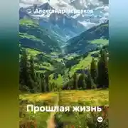 Постер книги Прошлая жизнь