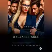 Постер книги В командировке