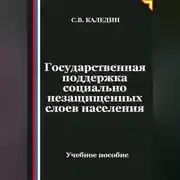 Постер книги Государственная поддержка социально незащищенных слоев населения