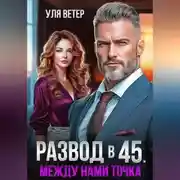 Постер книги Развод в 45. Между нами точка
