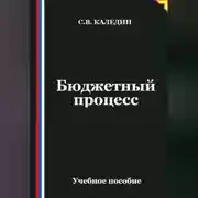 Постер книги Бюджетный процесс