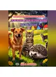 Коллетта Сайджаяни - Тайны Ветрогорской деревни: расследование пса Барни