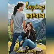 Постер книги Сокровище шамана
