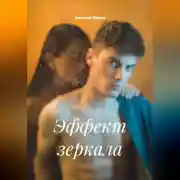 Постер книги Эффект зеркала