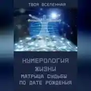 Постер книги Нумерология жизни. Матрица судьбы по дате рождения