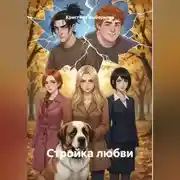 Постер книги Стройка любви