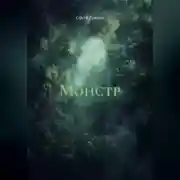 Постер книги Монстр
