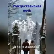 Постер книги Рождественская ночь