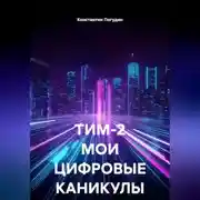 Постер книги ТИМ-2 МОИ ЦИФРОВЫЕ КАНИКУЛЫ